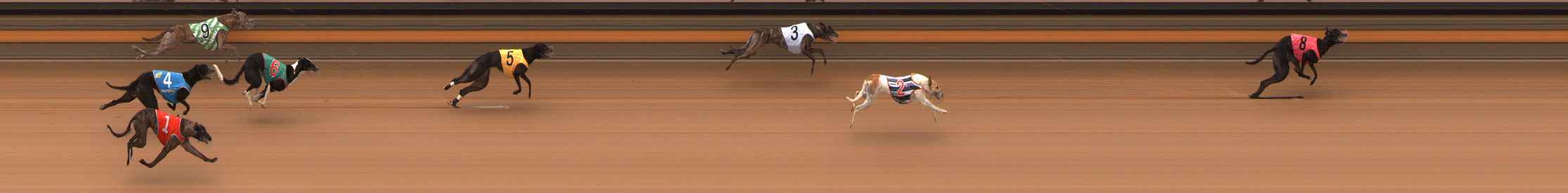 Photo finish for Ballarat Race 7