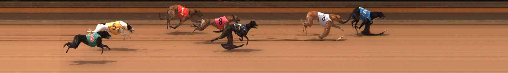 Photo finish for Ballarat Race 8