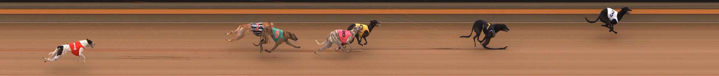 Photo finish for Ballarat Race 9