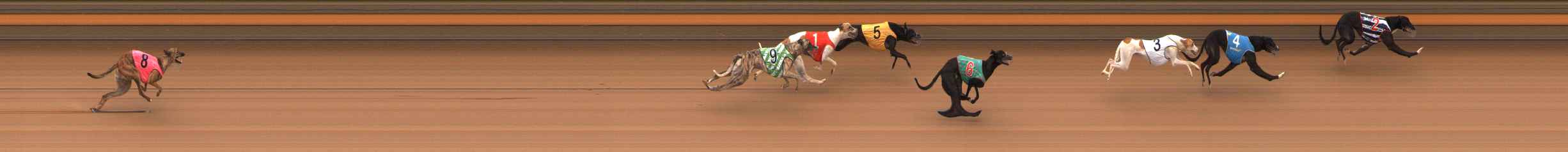 Photo finish for Ballarat Race 10