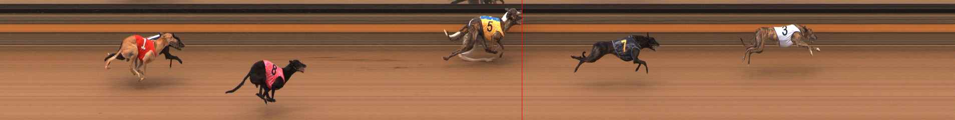 Photo finish for Ballarat Race 12