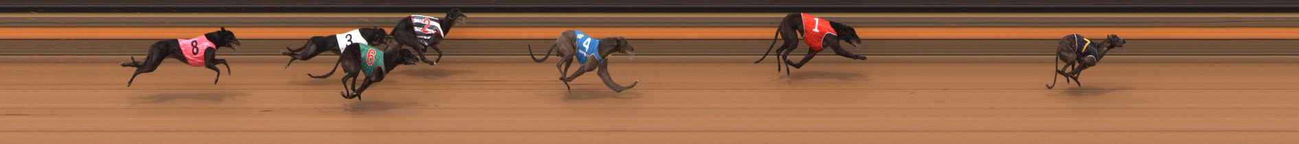 Photo finish for Ballarat Race 13