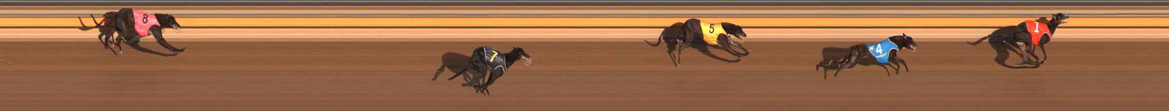 Photo finish for Ballarat Race 2