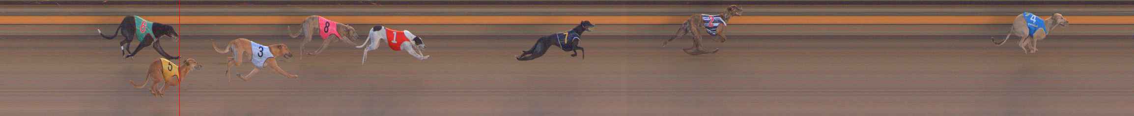 Photo finish for Ballarat Race 5