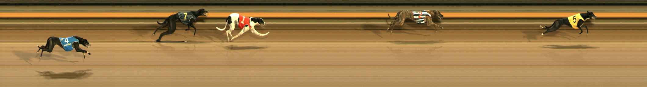 Photo finish for Ballarat Race 9
