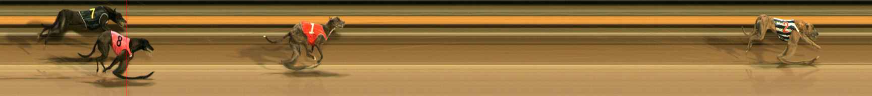 Photo finish for Ballarat Race 11