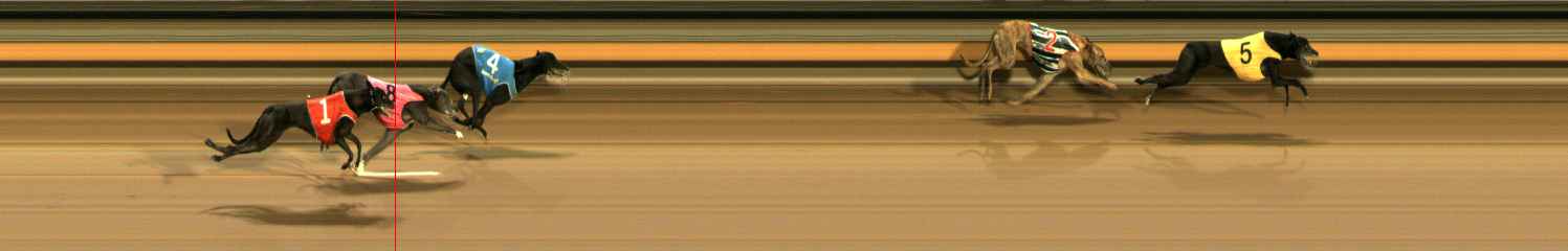 Photo finish for Ballarat Race 12
