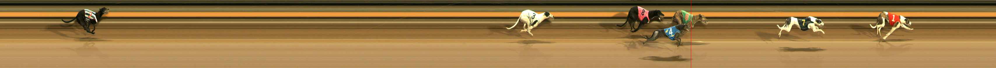 Photo finish for Ballarat Race 13