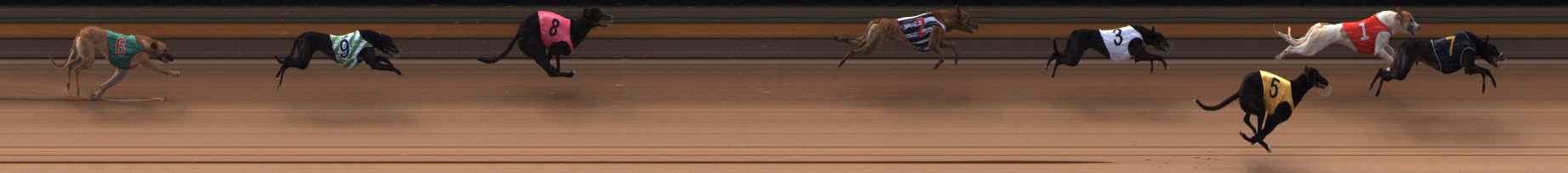 Photo finish for Ballarat Race 1