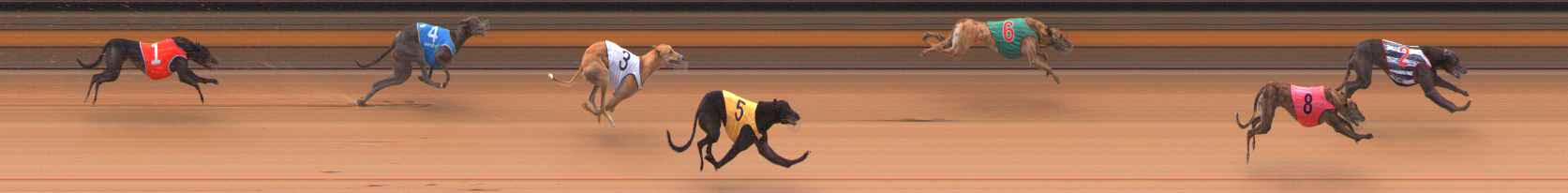 Photo finish for Ballarat Race 4