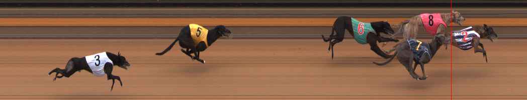 Photo finish for Ballarat Race 8