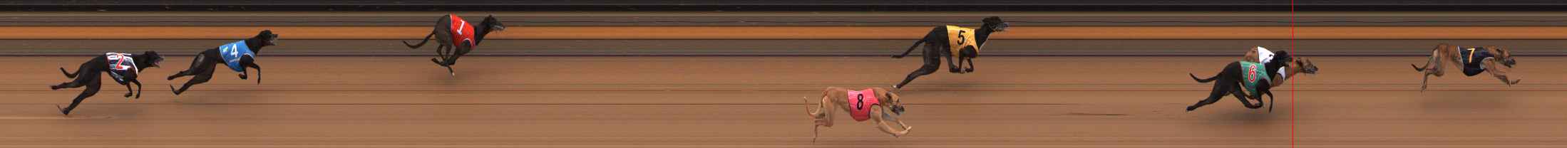 Photo finish for Ballarat Race 9
