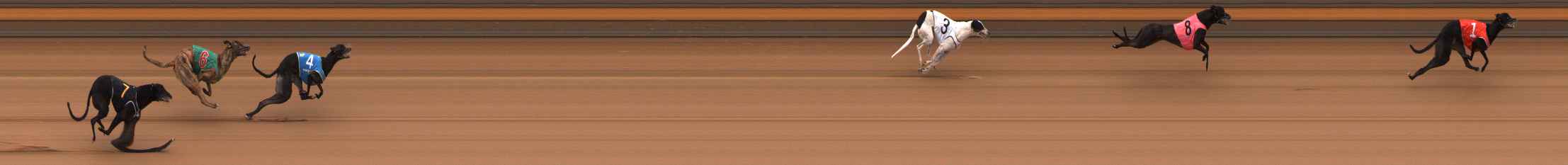 Photo finish for Ballarat Race 12