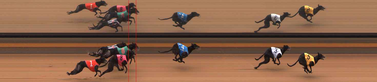 Photo finish for Ballarat Race 13
