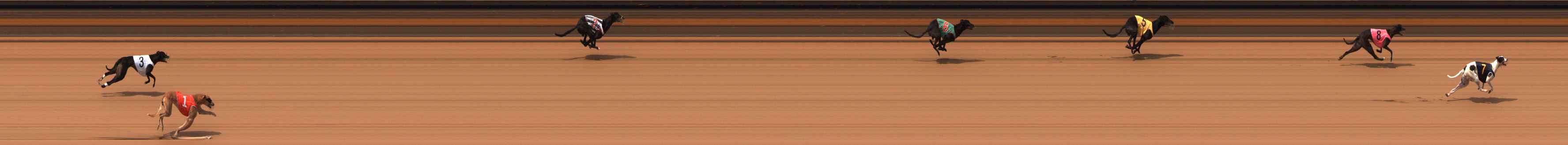 Photo finish for Ballarat Race 14