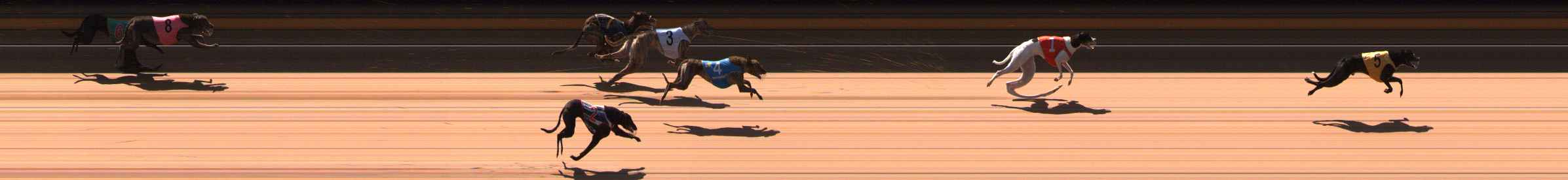 Photo finish for Ballarat Race 1