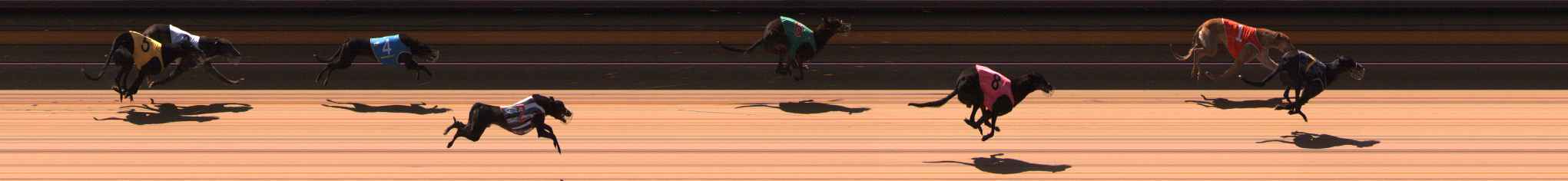 Photo finish for Ballarat Race 2