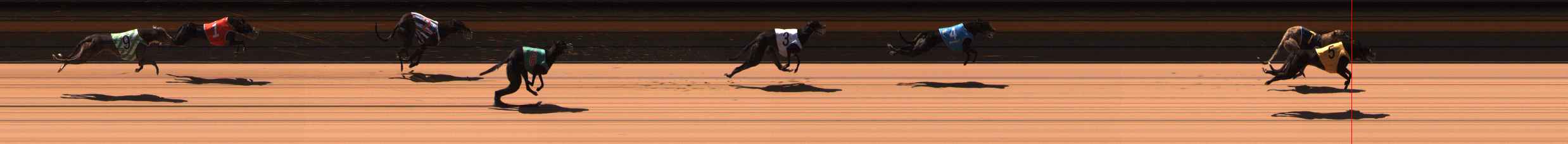 Photo finish for Ballarat Race 4