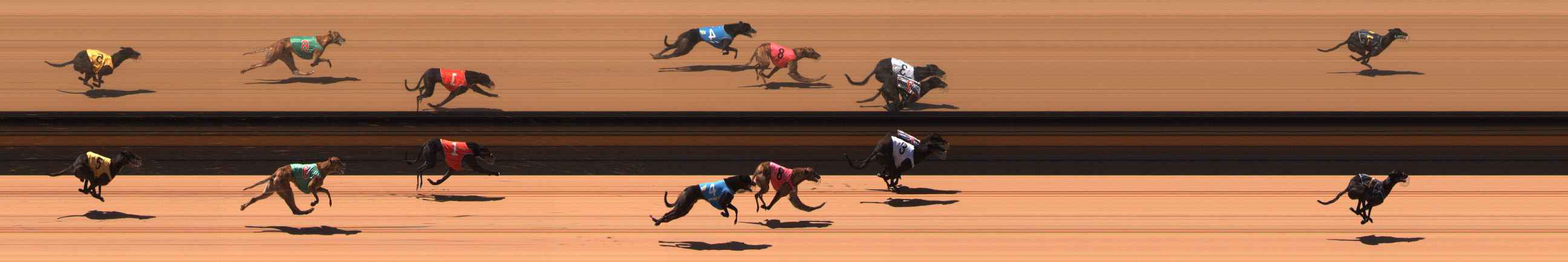 Photo finish for Ballarat Race 5