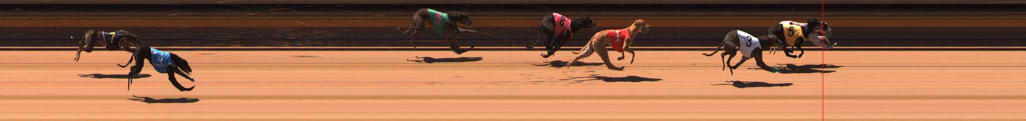 Photo finish for Ballarat Race 6