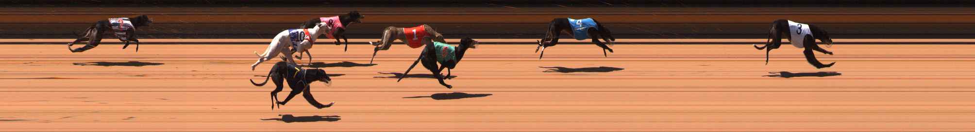 Photo finish for Ballarat Race 7