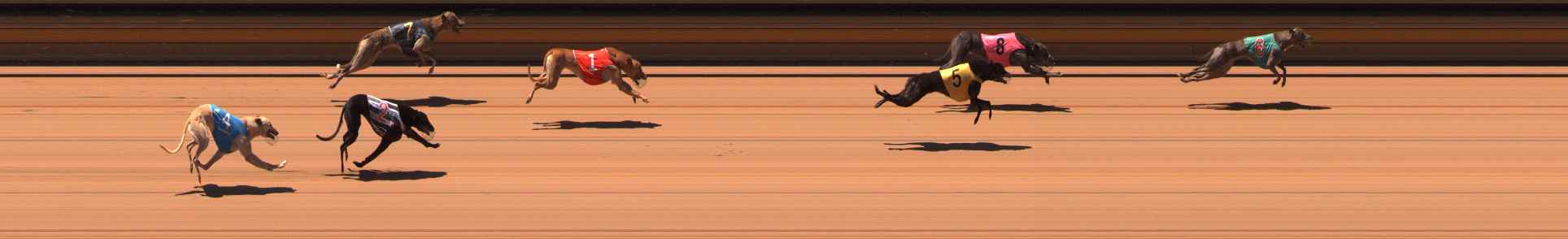 Photo finish for Ballarat Race 8