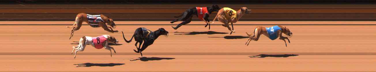 Photo finish for Ballarat Race 9