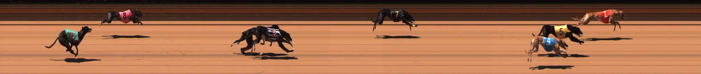 Photo finish for Ballarat Race 10