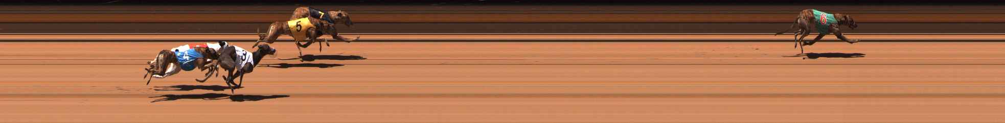 Photo finish for Ballarat Race 11