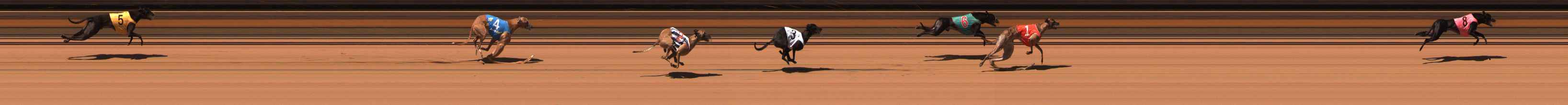Photo finish for Ballarat Race 12