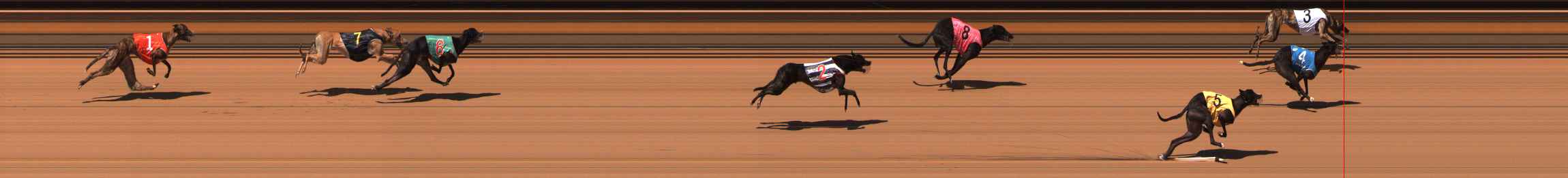 Photo finish for Ballarat Race 13