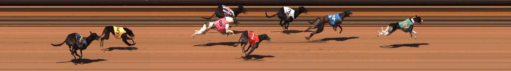 Photo finish for Ballarat Race 14
