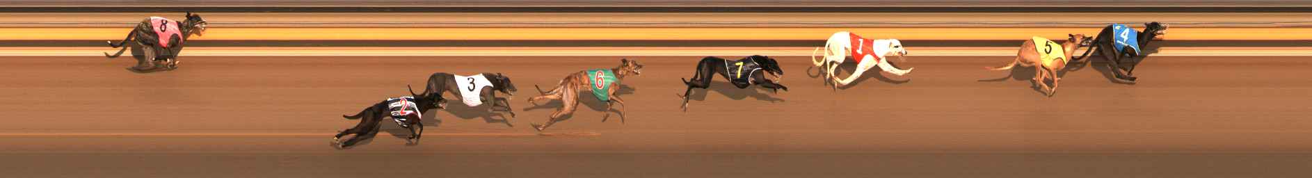 Photo finish for Ballarat Race 1