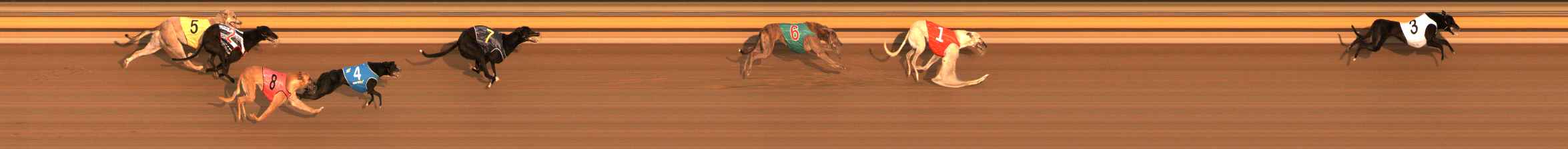 Photo finish for Ballarat Race 2