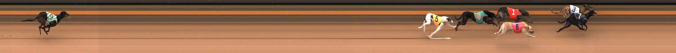 Photo finish for Ballarat Race 4