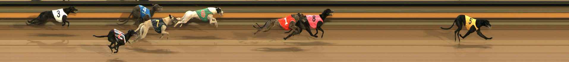 Photo finish for Ballarat Race 6