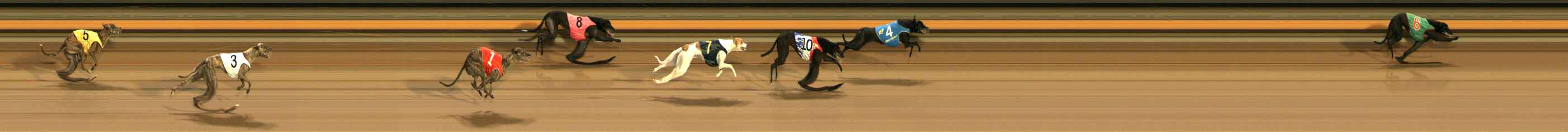 Photo finish for Ballarat Race 7