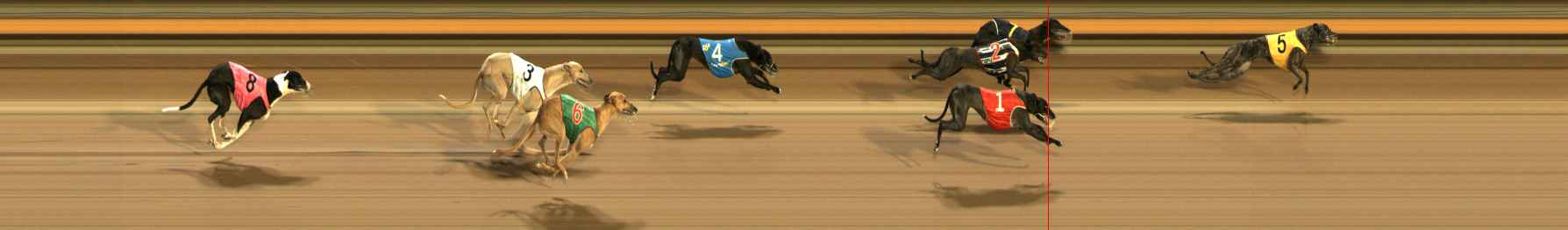 Photo finish for Ballarat Race 8