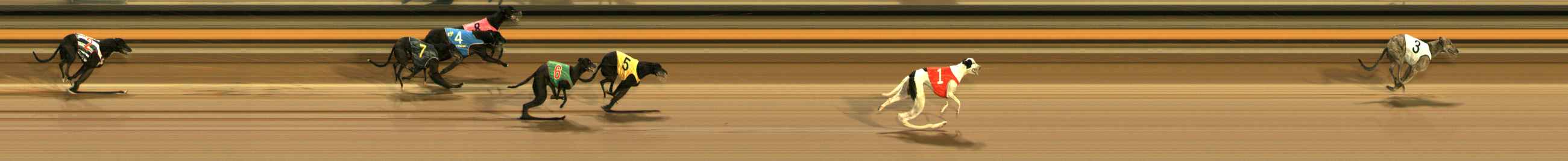 Photo finish for Ballarat Race 9
