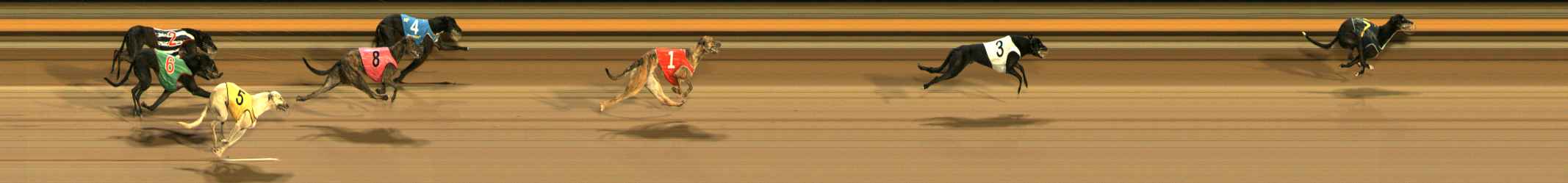 Photo finish for Ballarat Race 10