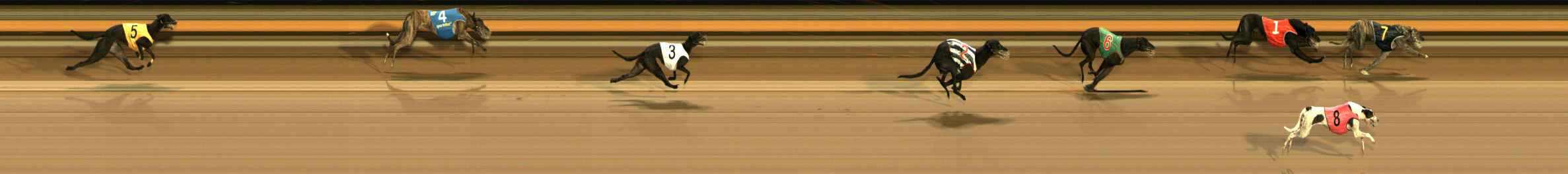 Photo finish for Ballarat Race 12