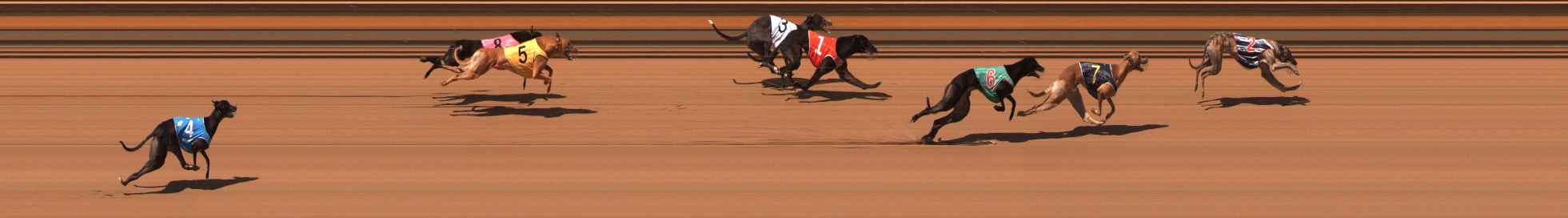 Photo finish for Ballarat Race 2