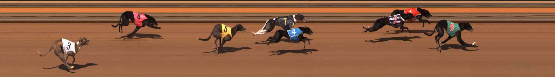 Photo finish for Ballarat Race 5