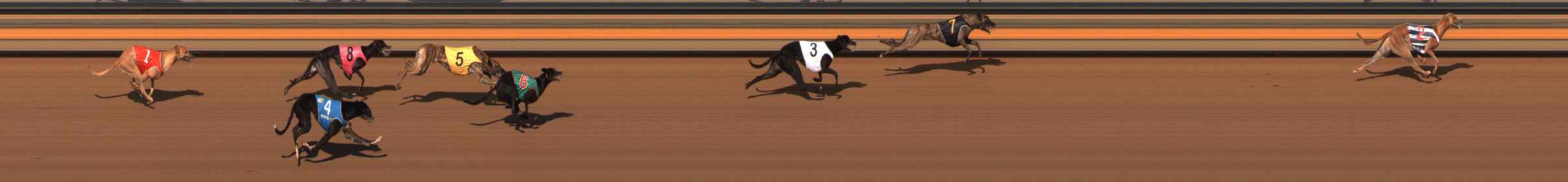 Photo finish for Ballarat Race 7