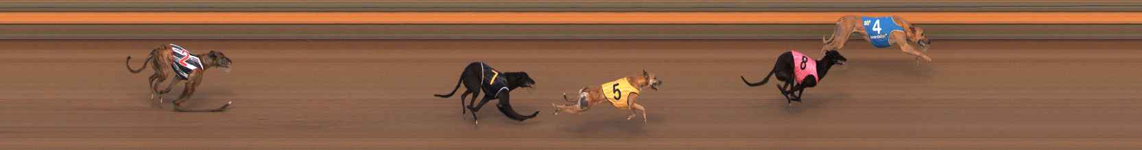 Photo finish for Ballarat Race 9