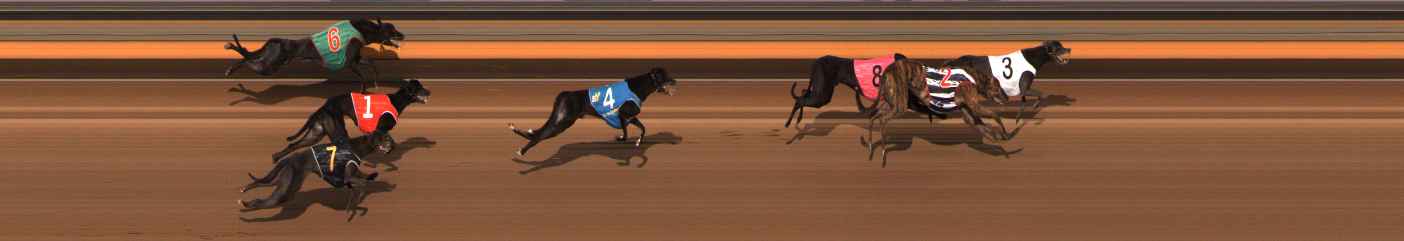Photo finish for Ballarat Race 10