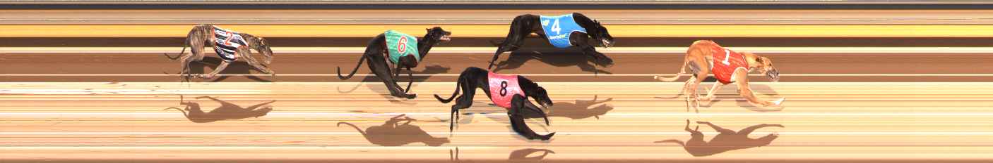 Photo finish for Ballarat Race 11