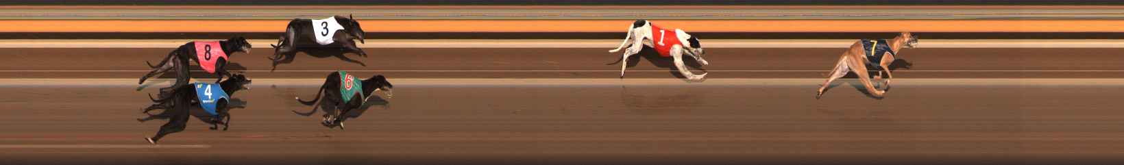 Photo finish for Ballarat Race 12