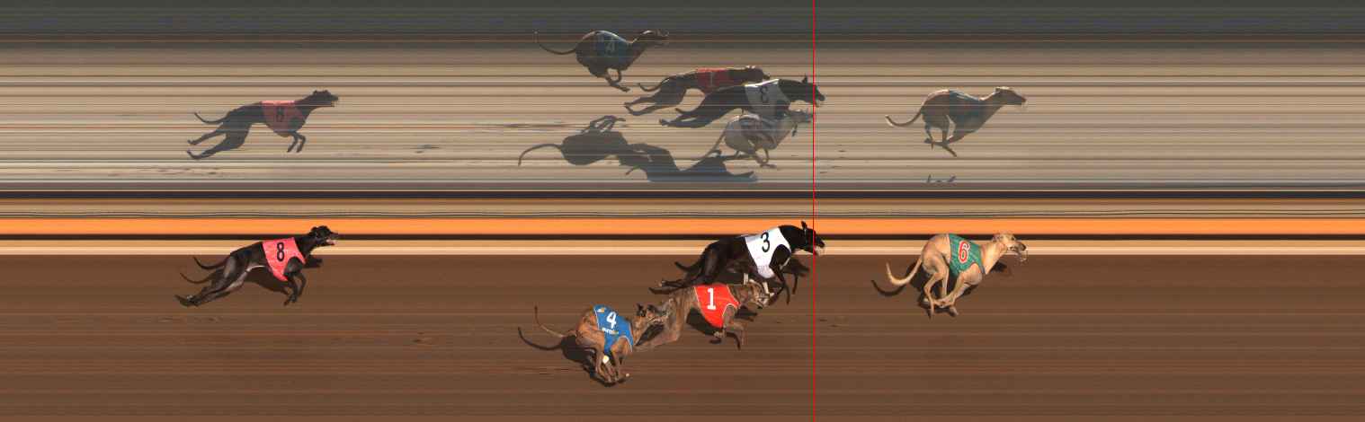 Photo finish for Ballarat Race 13