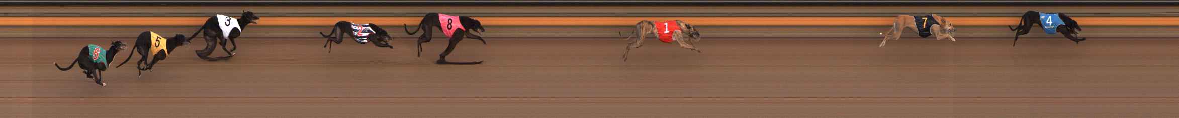 Photo finish for Ballarat Race 14